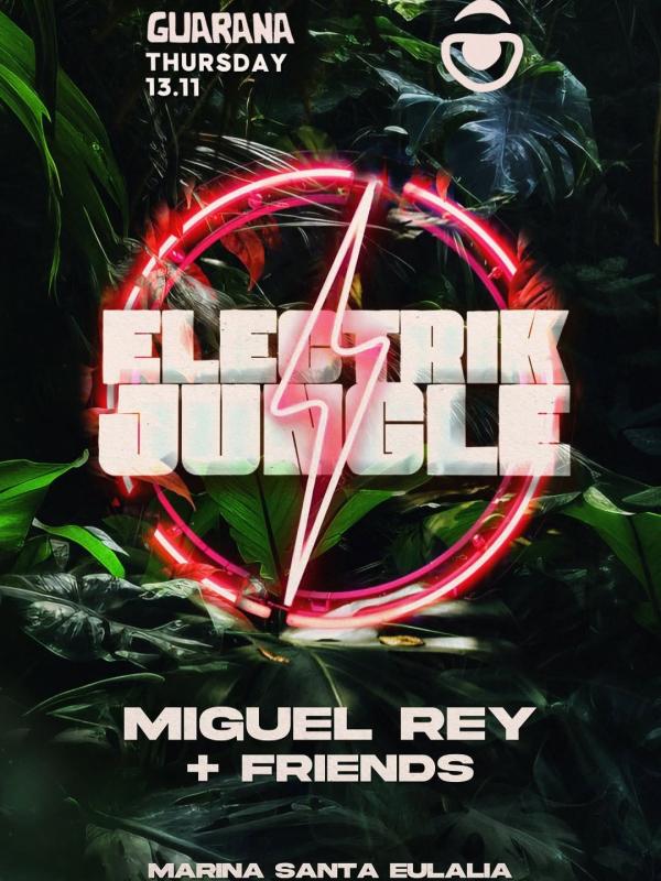 Electrik Jungle