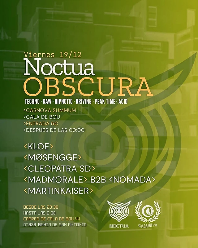 Noctua Obscura II