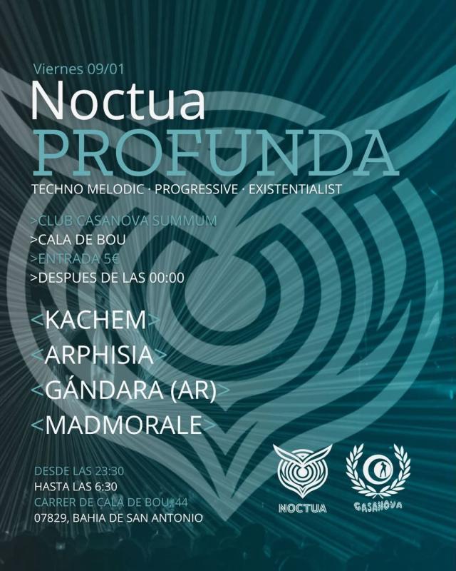 Noctua Profunda III