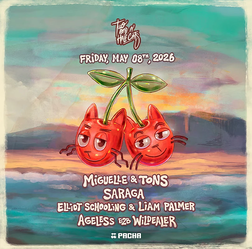 Two and a Half Cats Miguelle & Tons