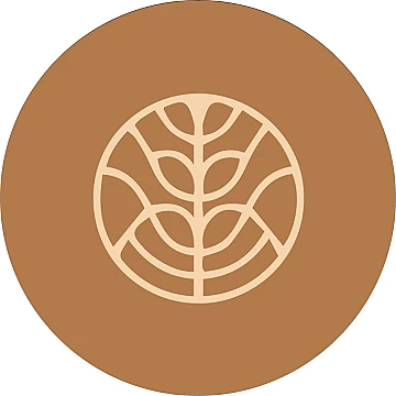 Sundara Ibiza's Logo