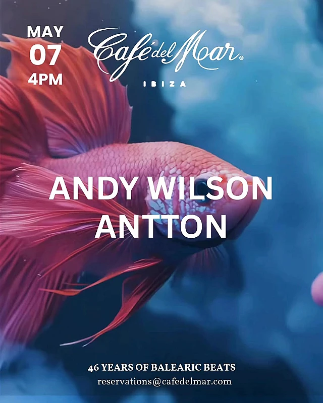 Andy Wilson / Antton