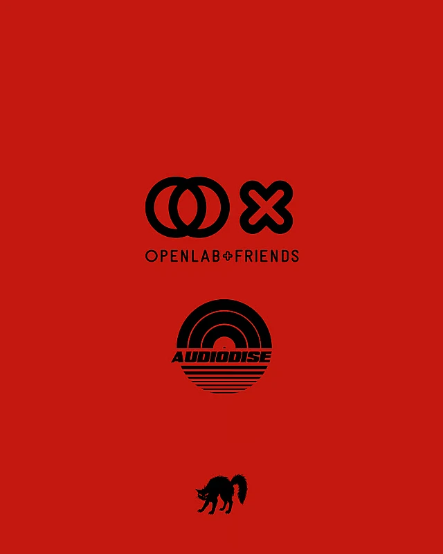 Openlab X Audiodise