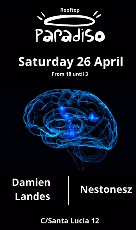 Damien Landes / Nestonesz