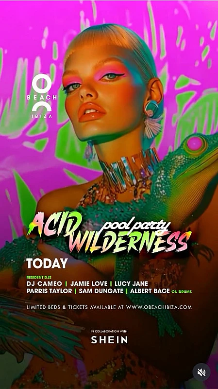 Acid Wilderness Pool Party