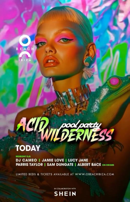 Acid Wilderness Pool Party