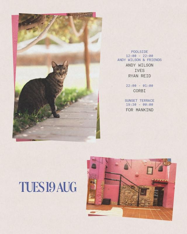 Tuesday