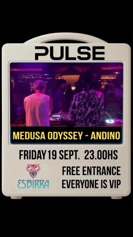 Pulse